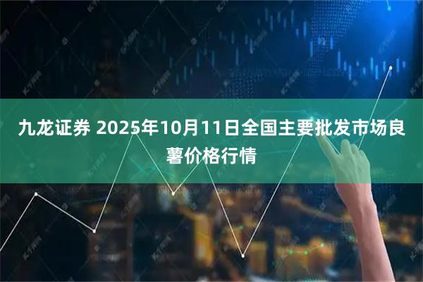 九龙证券 2025年10月11日全国主要批发市场良薯价格行情