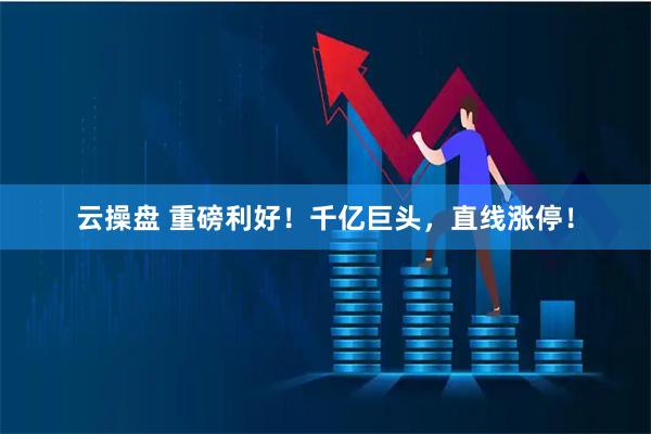 云操盘 重磅利好！千亿巨头，直线涨停！