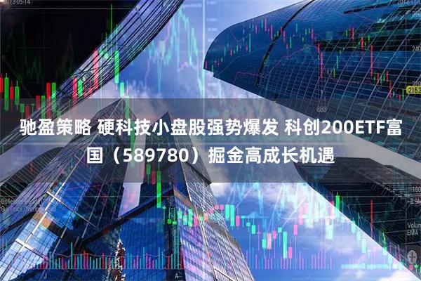 驰盈策略 硬科技小盘股强势爆发 科创200ETF富国（589780）掘金高成长机遇